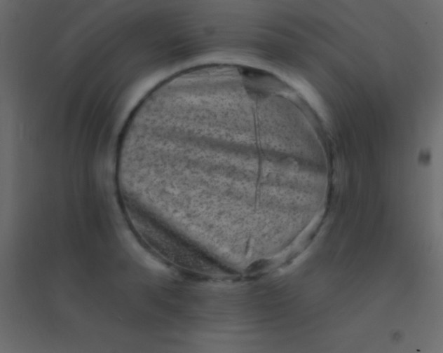 X0000094960896200712131642