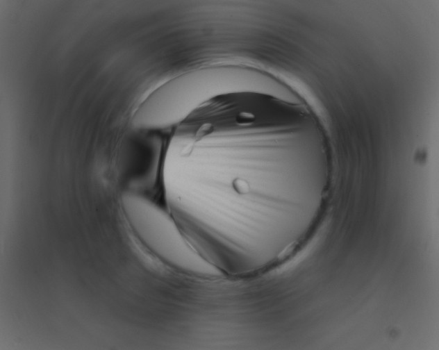 X0000094960897200712131642