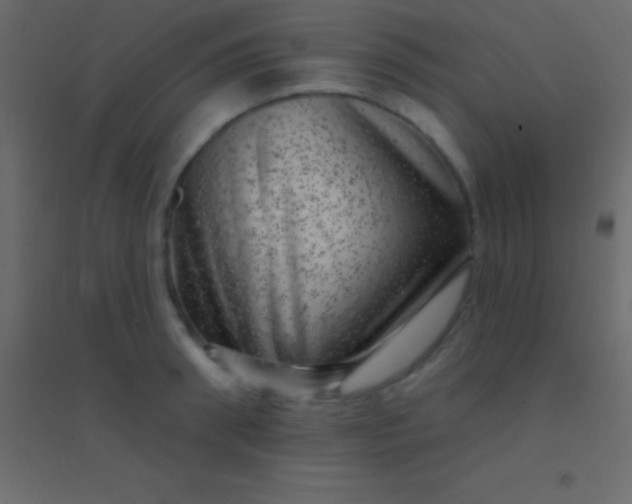 X0000094960898200712131642