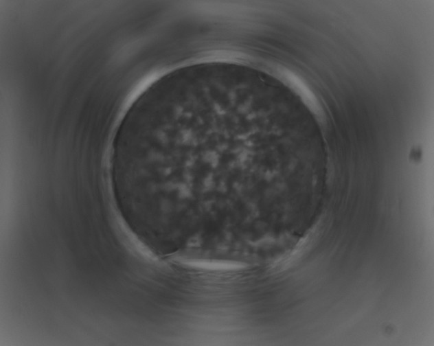 X0000094960899200712131642