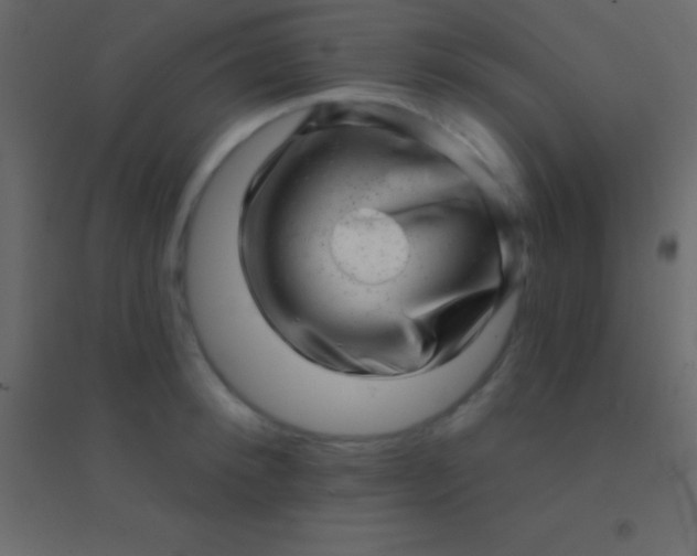 X0000094960900200712131642