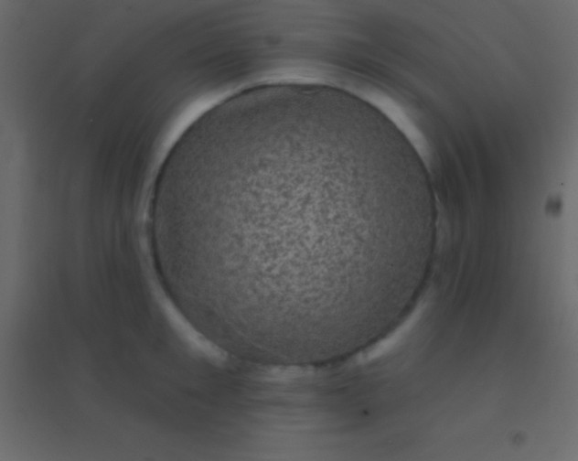 X0000094960901200712131642