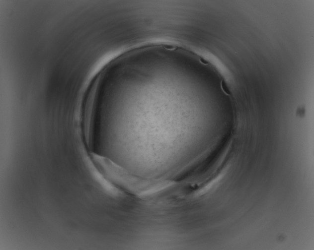 X0000094960902200712131642