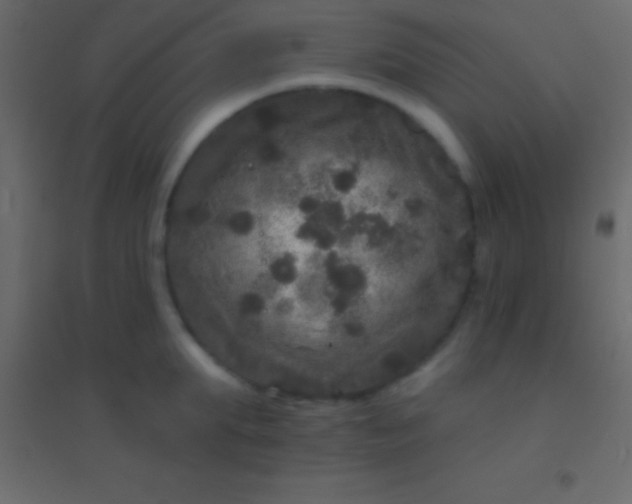 X0000094960903200712131642