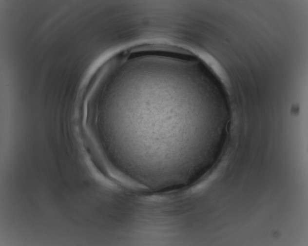 X0000094960904200712131642