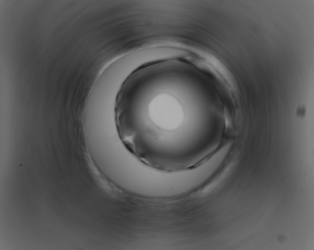 X0000094960905200712131642