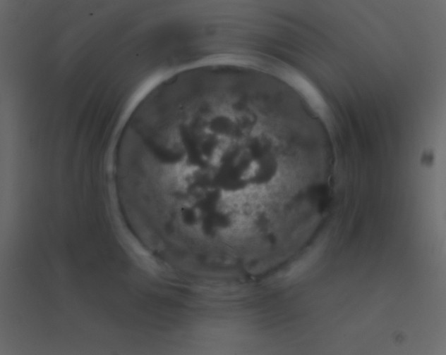 X0000094960907200712131642