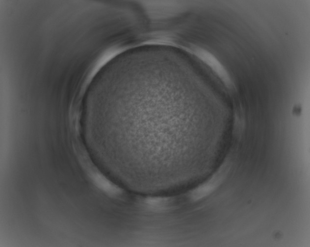 X0000094960908200712131642