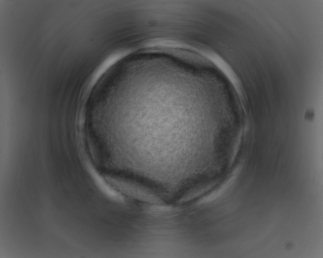 X0000094960909200712131642