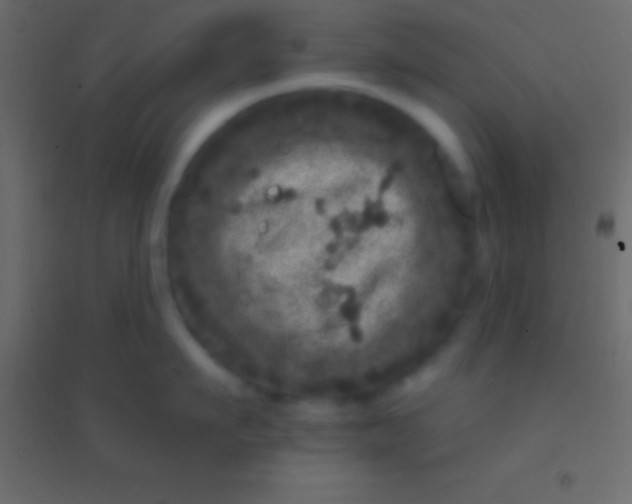 X0000094960911200712131642