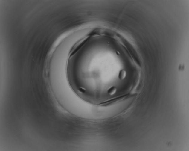 X0000094960912200712131642