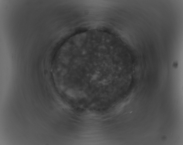 X0000094960913200712131641