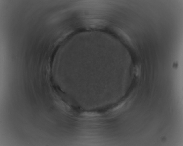 X0000094960915200712131641