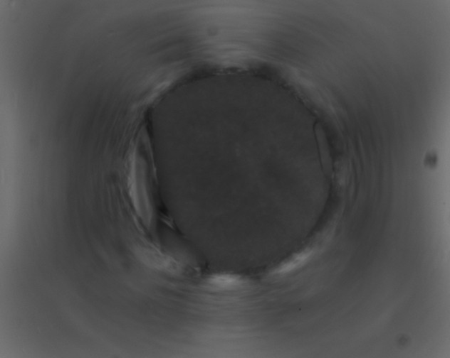 X0000094960916200712131642