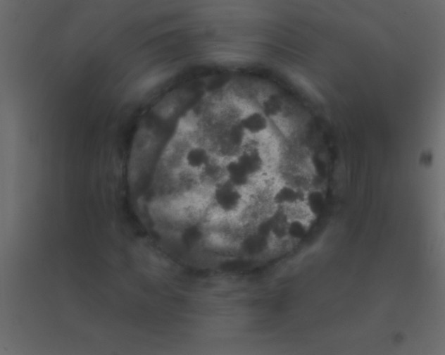 X0000094960917200712131642