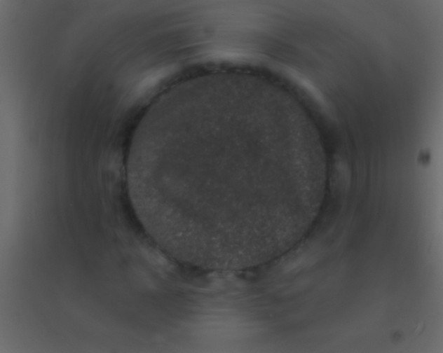 X0000094960918200712131642