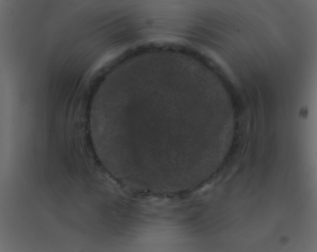 X0000094960919200712131642