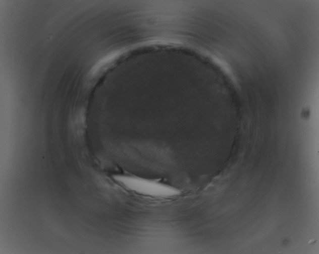 X0000094960920200712131642