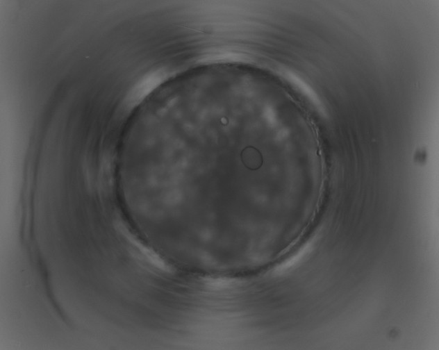 X0000094960921200712131642