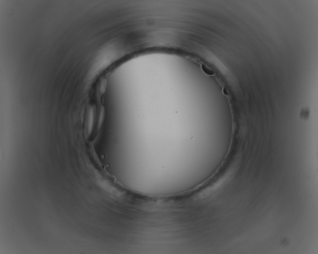 X0000094960922200712131642