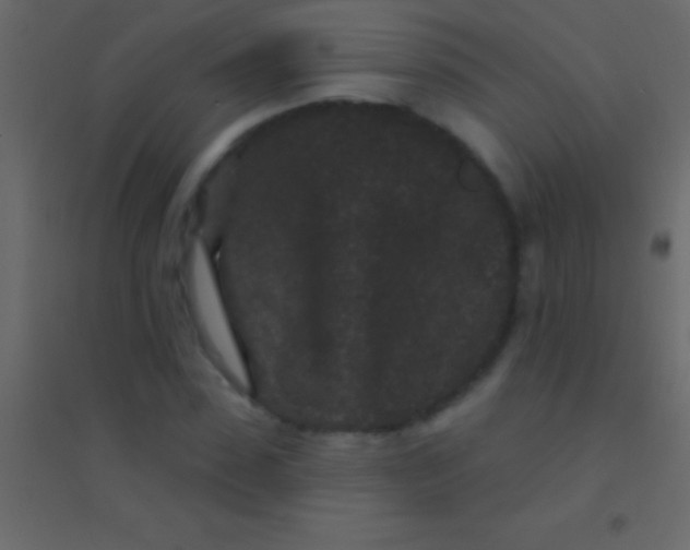 X0000094960923200712131642