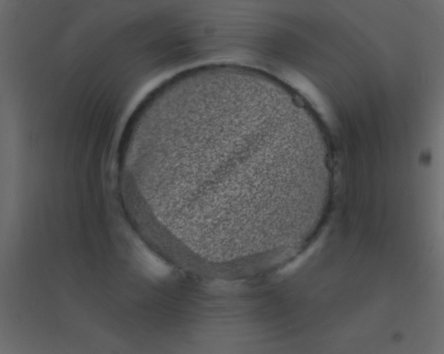 X0000094960924200712131642