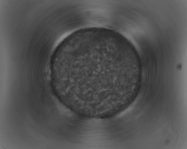 X0000094960925200712131642