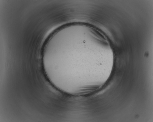 X0000094960926200712131642