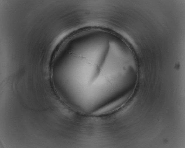 X0000094960927200712131642