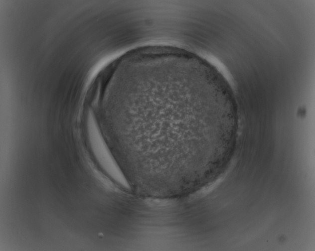 X0000094960928200712131642