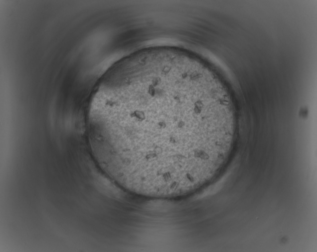 X0000094960929200712131642