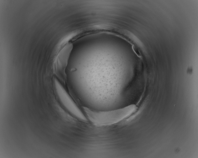 X0000094960930200712131642