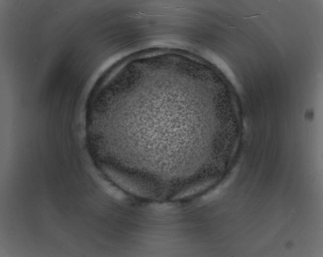 X0000094960931200712131642