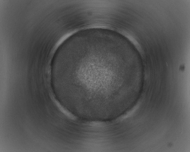 X0000094960933200712131642