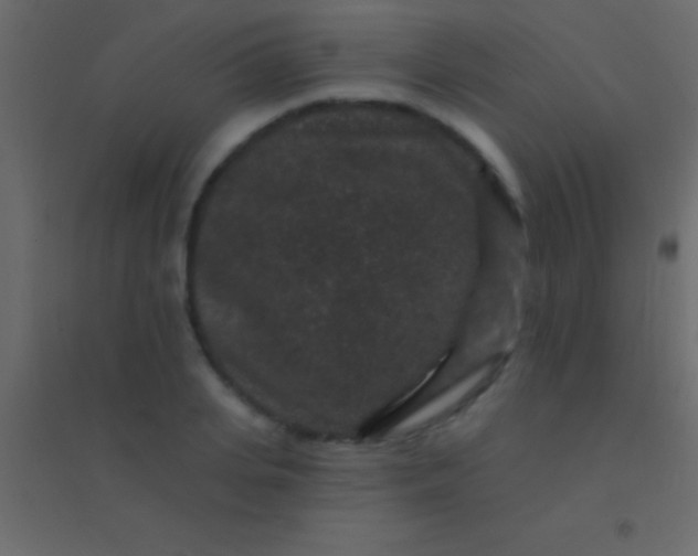 X0000094960935200712131642