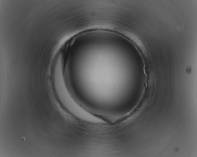 X0000094960936200712131642