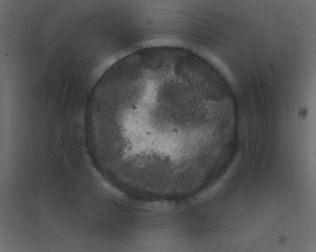 X0000094960937200712131642