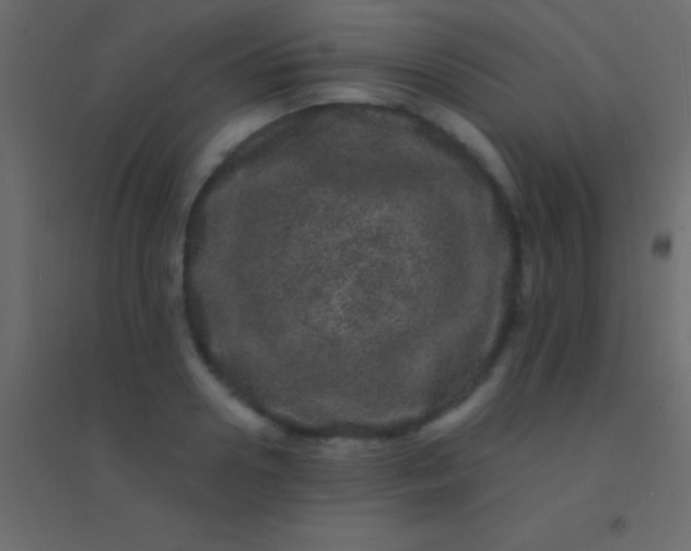 X0000094960938200712131642