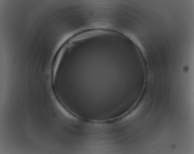 X0000094960941200712131642