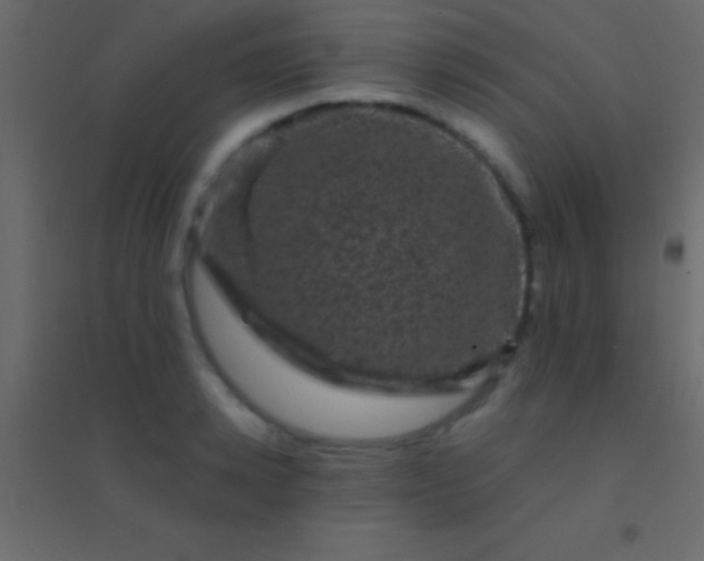 X0000094960942200712131642