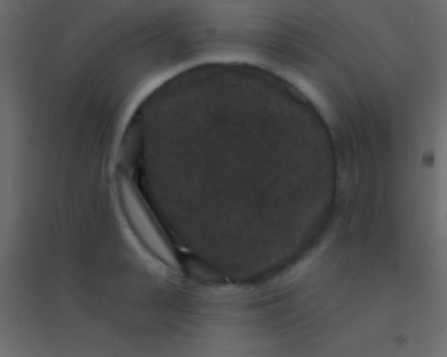 X0000094960943200712131642