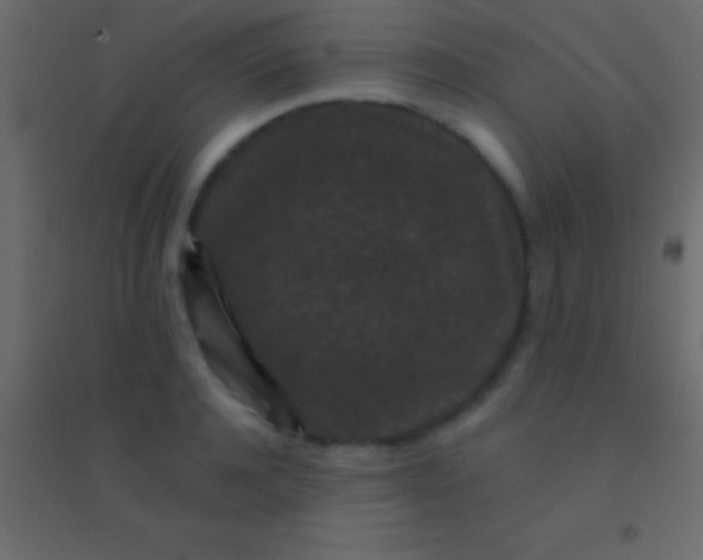 X0000094960944200712131642