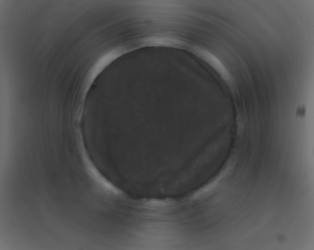 X0000094960946200712131642