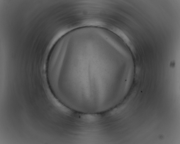 X0000094960947200712131642