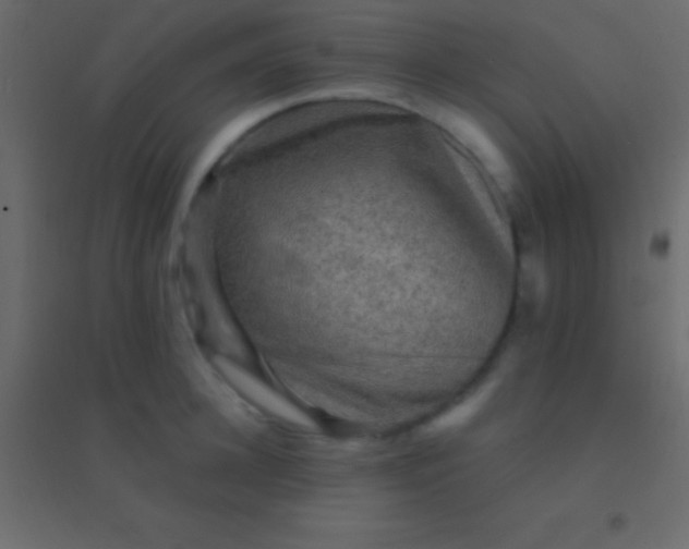 X0000094960948200712131642