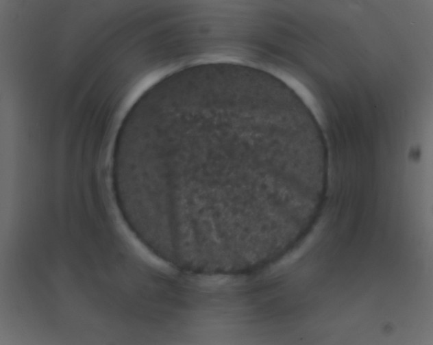 X0000094960949200712131642