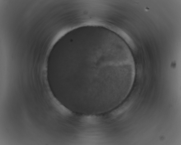 X0000094960950200712131642