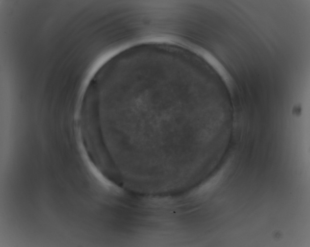 X0000094960951200712131642