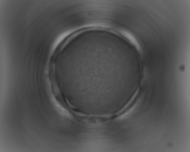 X0000094960952200712131642