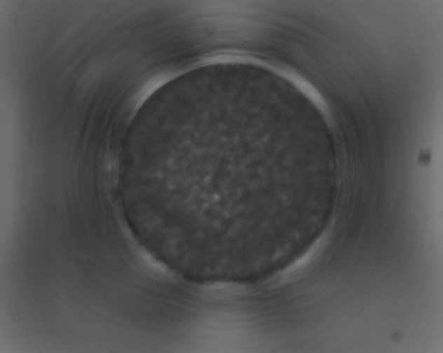 X0000094960953200712131642